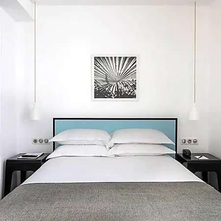 Palm - Astotel 3*